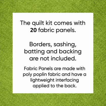 Butterfly DIY Quilt Top Kit for Beginners | Sew A Quilt